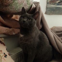 Lou